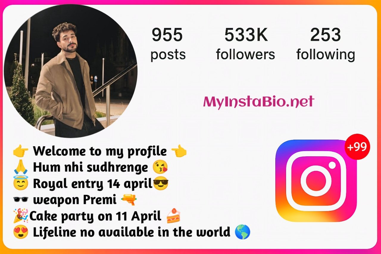 Instagram Bio For Boys Simple
